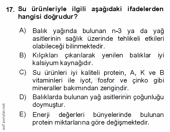 Soru 17