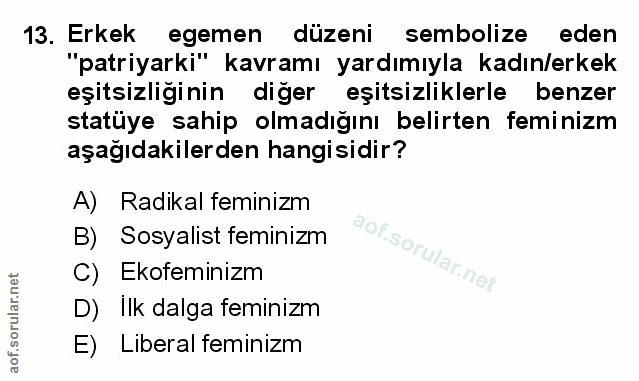 Soru 13