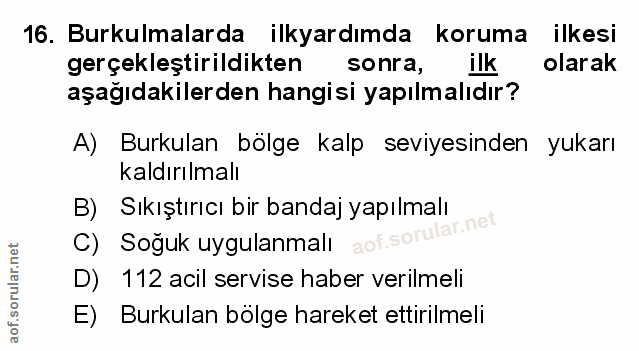 Soru 16