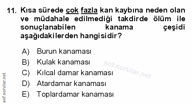 Soru 11