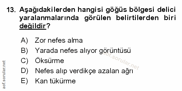 Soru 13