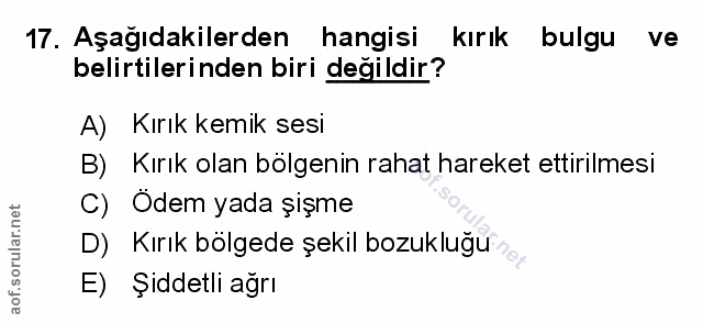 Soru 17