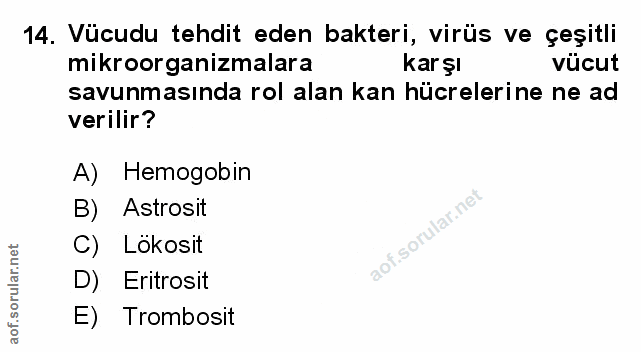 Soru 14