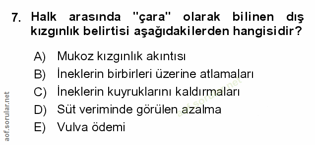 Soru 7