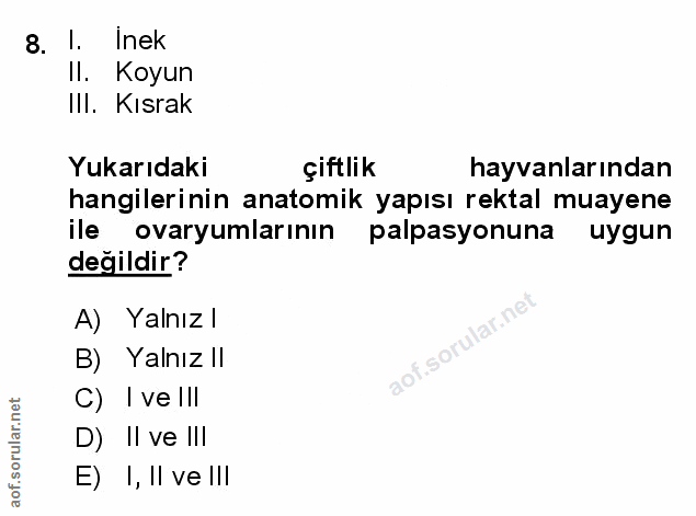 Soru 8