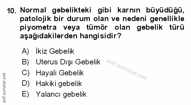 Soru 10