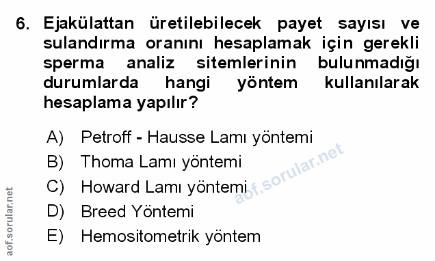 Soru 6