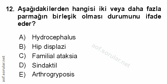 Soru 12