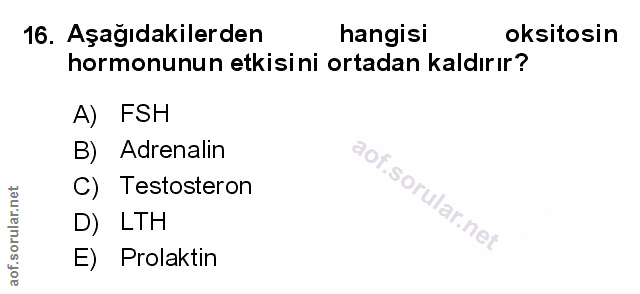 Soru 16
