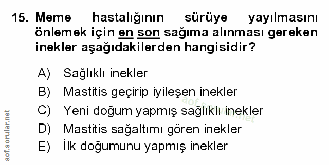 Soru 15
