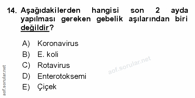 Soru 14