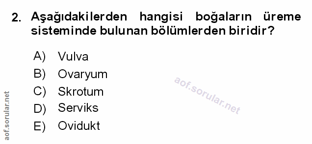 Soru 2