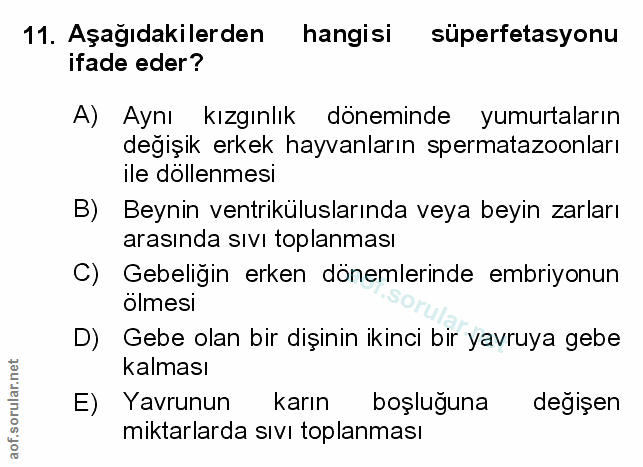 Soru 11
