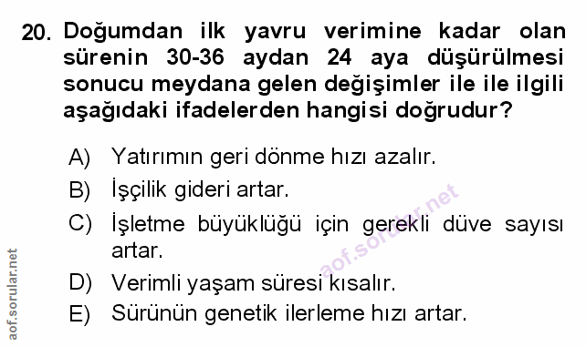 Soru 20