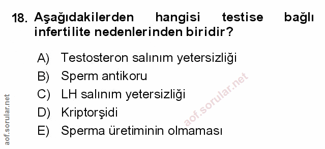 Soru 18