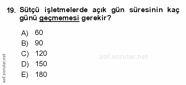 Soru 19