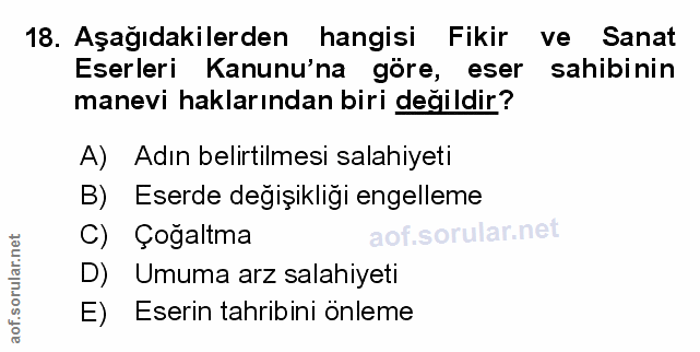 Soru 18