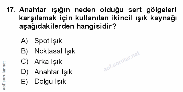 Soru 17