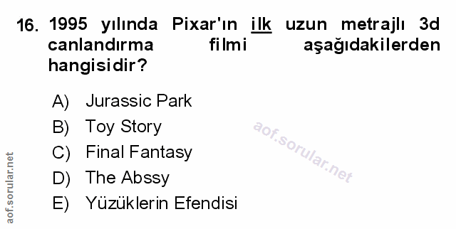 Soru 16