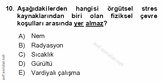 Soru 10
