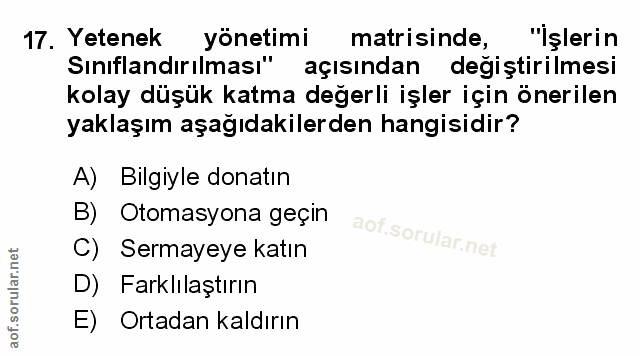 Soru 17