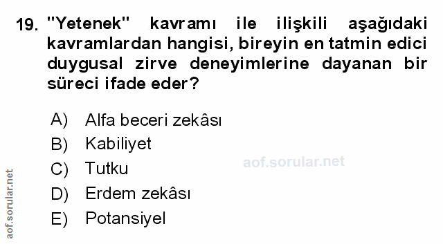 Soru 19