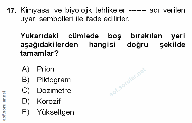 Soru 17