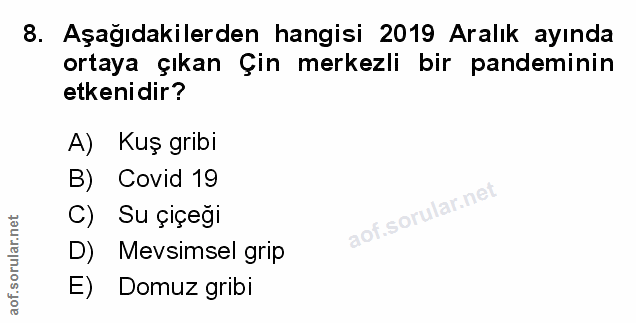 Soru 8