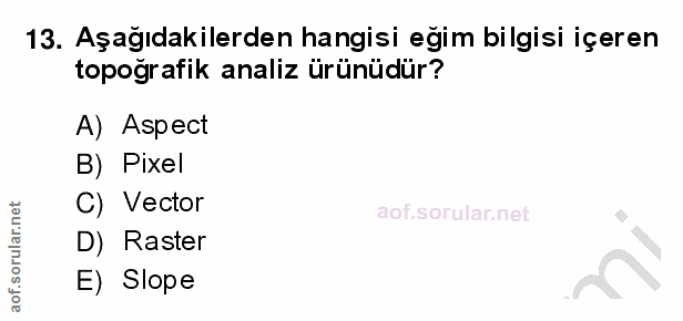 Soru 13