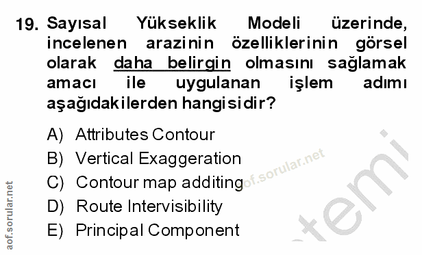 Soru 19