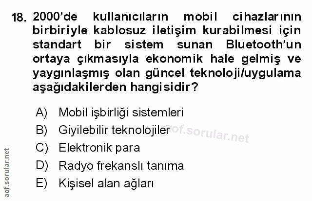 Soru 18