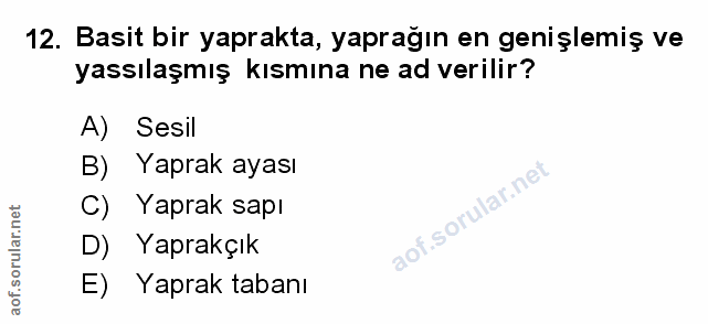 Soru 12