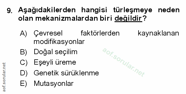 Soru 9