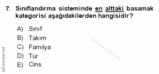 Soru 7