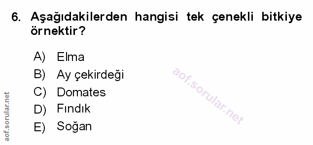 Soru 6