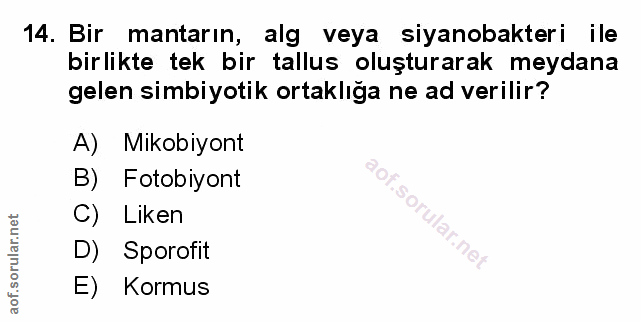 Soru 14