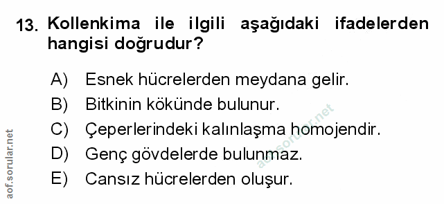 Soru 13