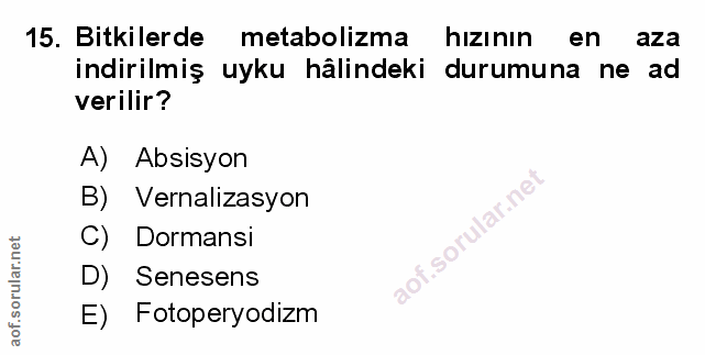 Soru 15