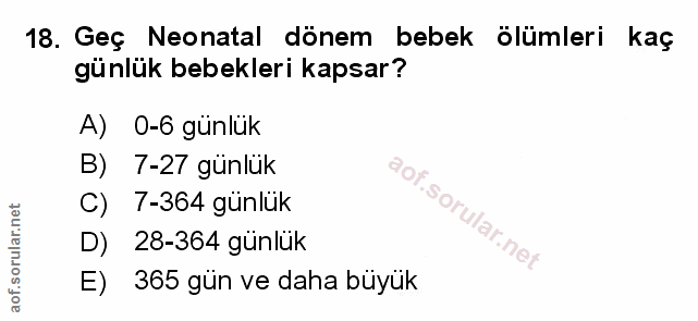 Soru 18
