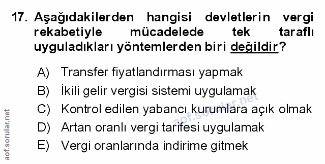 Soru 17