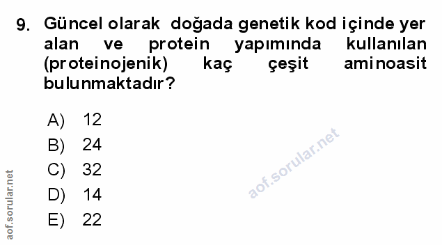 Soru 9