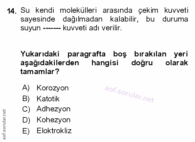 Soru 14