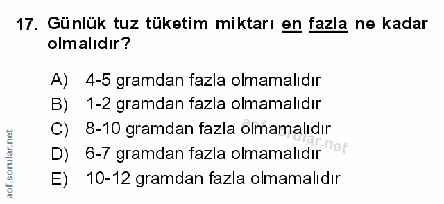 Soru 17