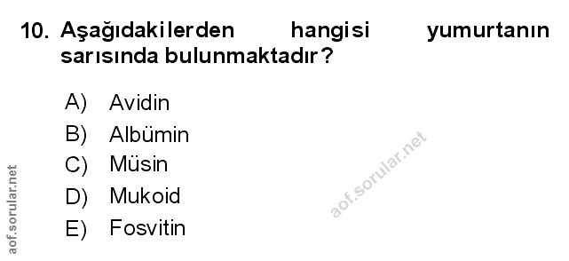 Soru 10