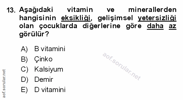 Soru 13