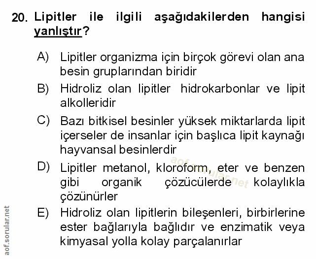 Soru 20