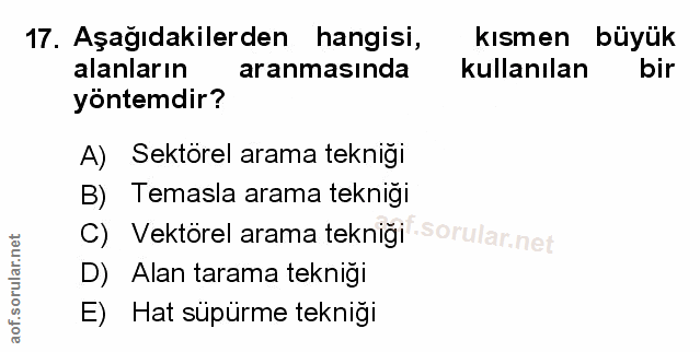 Soru 17