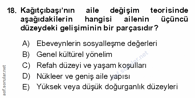 Soru 18