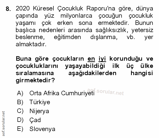 Soru 8