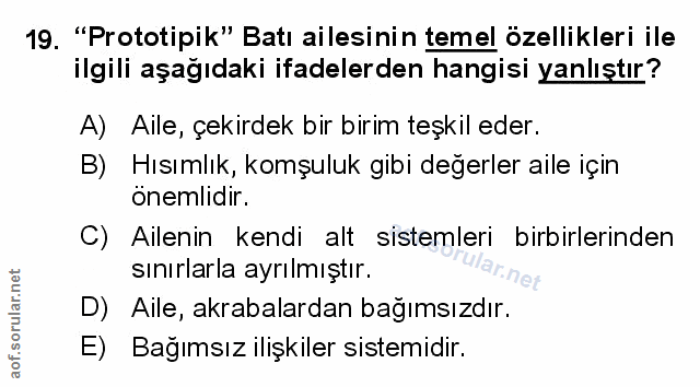 Soru 19